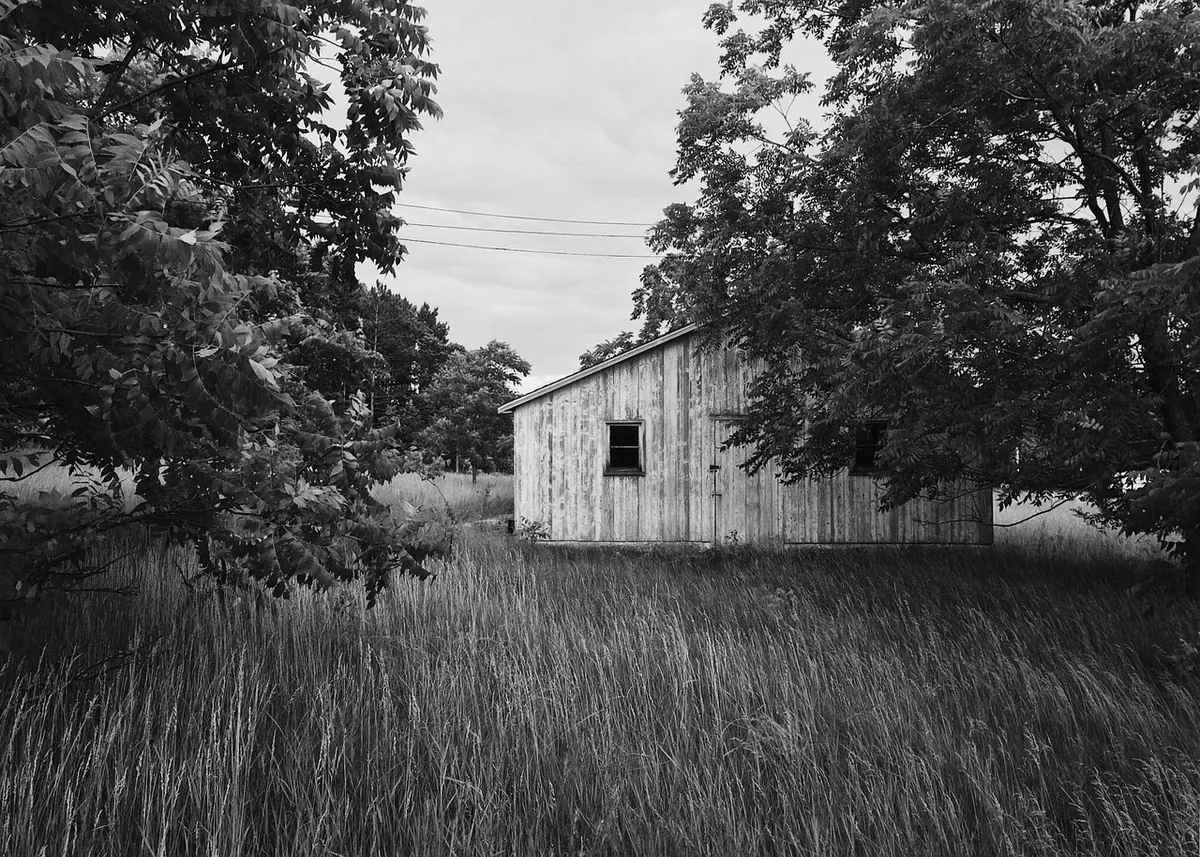 Rural Decay Photography in Autumn: How to Shoot Overgrown Farm Buildings